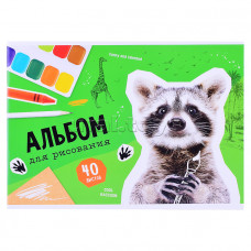 Альбом для рисования 40л., А4, на скрепке ArtSpace "Животные. Cool raccoon"33637